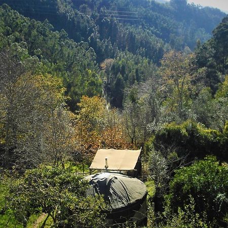 Green Man Yurt 페넬라 외부 사진