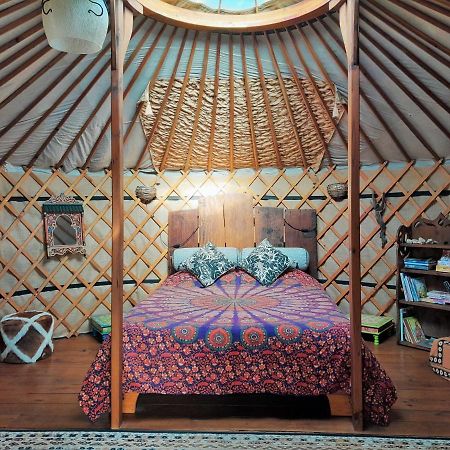 Green Man Yurt 페넬라 외부 사진