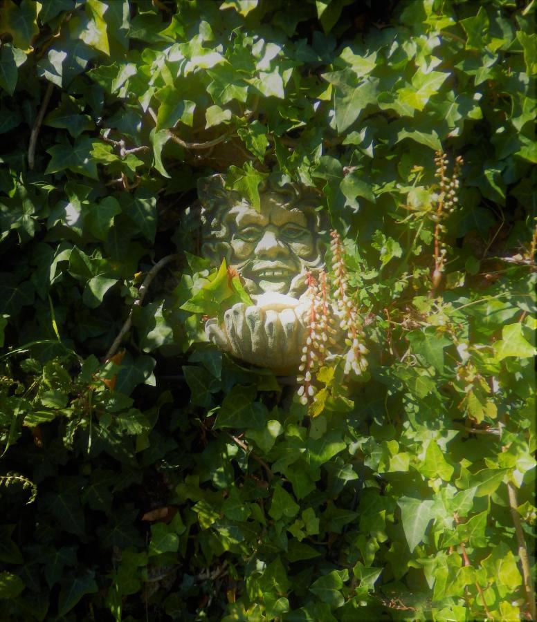 Green Man Yurt 페넬라 외부 사진