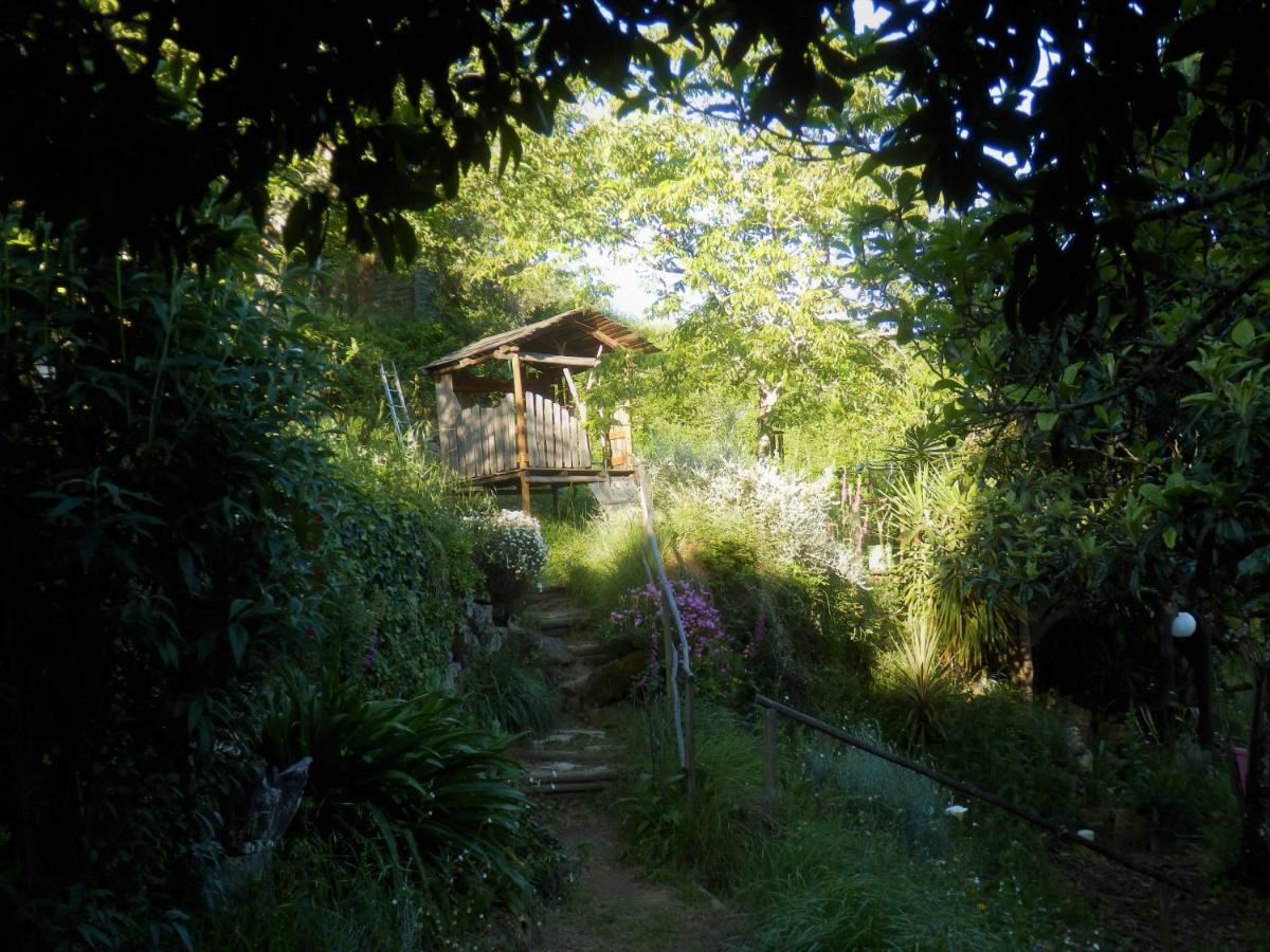 Green Man Yurt 페넬라 외부 사진