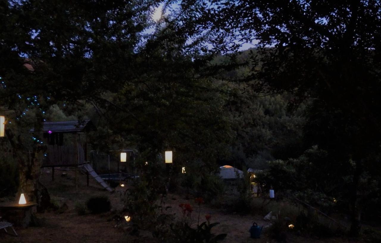 Green Man Yurt 페넬라 외부 사진