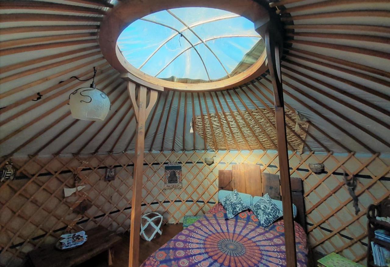 Green Man Yurt 페넬라 외부 사진